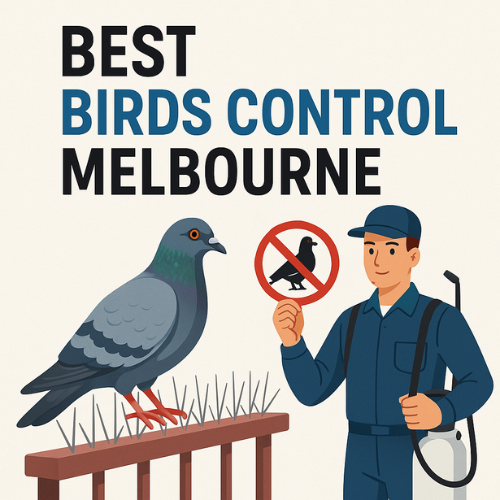 Best Birds Control Melbourne