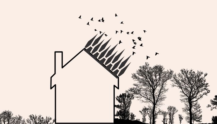 bird proofing epping