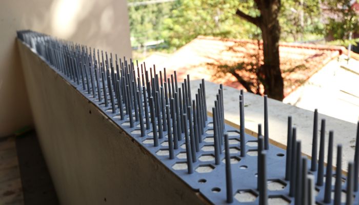 Professional Bird Proofing Cairnlea – Safe & Long-Lasting Solutions