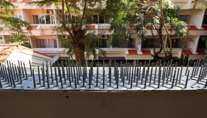 bird proofing cairnlea