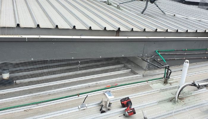 bird deterrents rowville