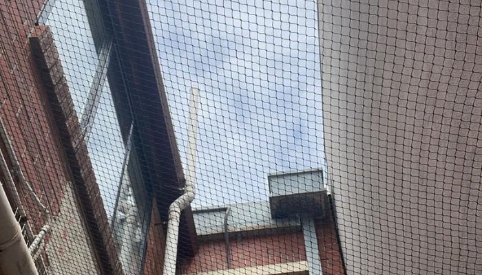 Why Are Bird Deterrents Rowville Important for Property Protection?